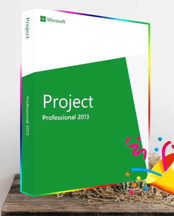 Project 2013 Professional