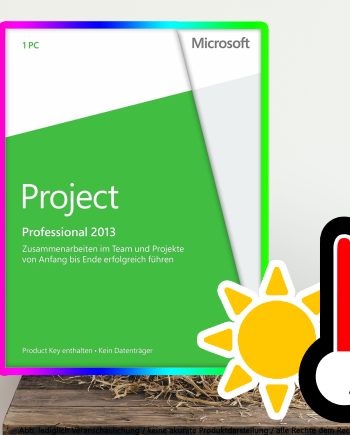 Microsoft Project 2013 Professional Digital Download