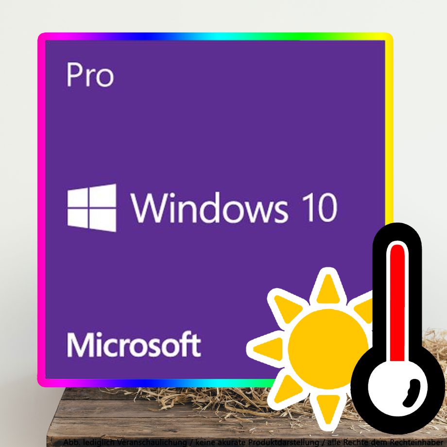 Windows 10 Pro Digital Download